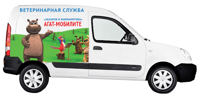 Ветеринарная клиника «Захаров и Фарафонтова» в Калининграде: 68-68-58 круглосуточно Ветеринарная клиника «Захаров и Фарафонтова» в Калининграде: 68-68-58 круглосуточно