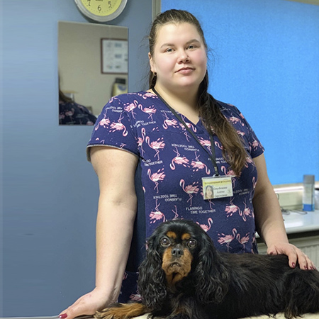 Ветеринарная клиника «Захаров и Фарафонтова» в Калининграде: 68-68-58 круглосуточно Ветеринарная клиника «Захаров и Фарафонтова» в Калининграде: 68-68-58 круглосуточно