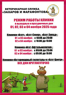 Новости ветклиники Новости ветклиники