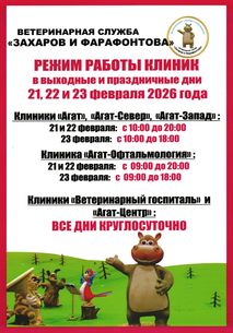 Новости ветклиники Новости ветклиники