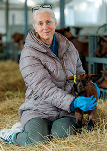 Статьи ветклиники Статьи ветклиники