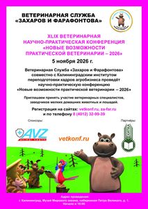 Новости ветклиники Новости ветклиники