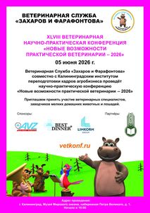 Новости ветклиники Новости ветклиники