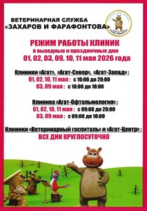 Новости ветклиники Новости ветклиники