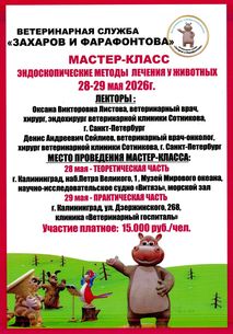 Новости ветклиники Новости ветклиники